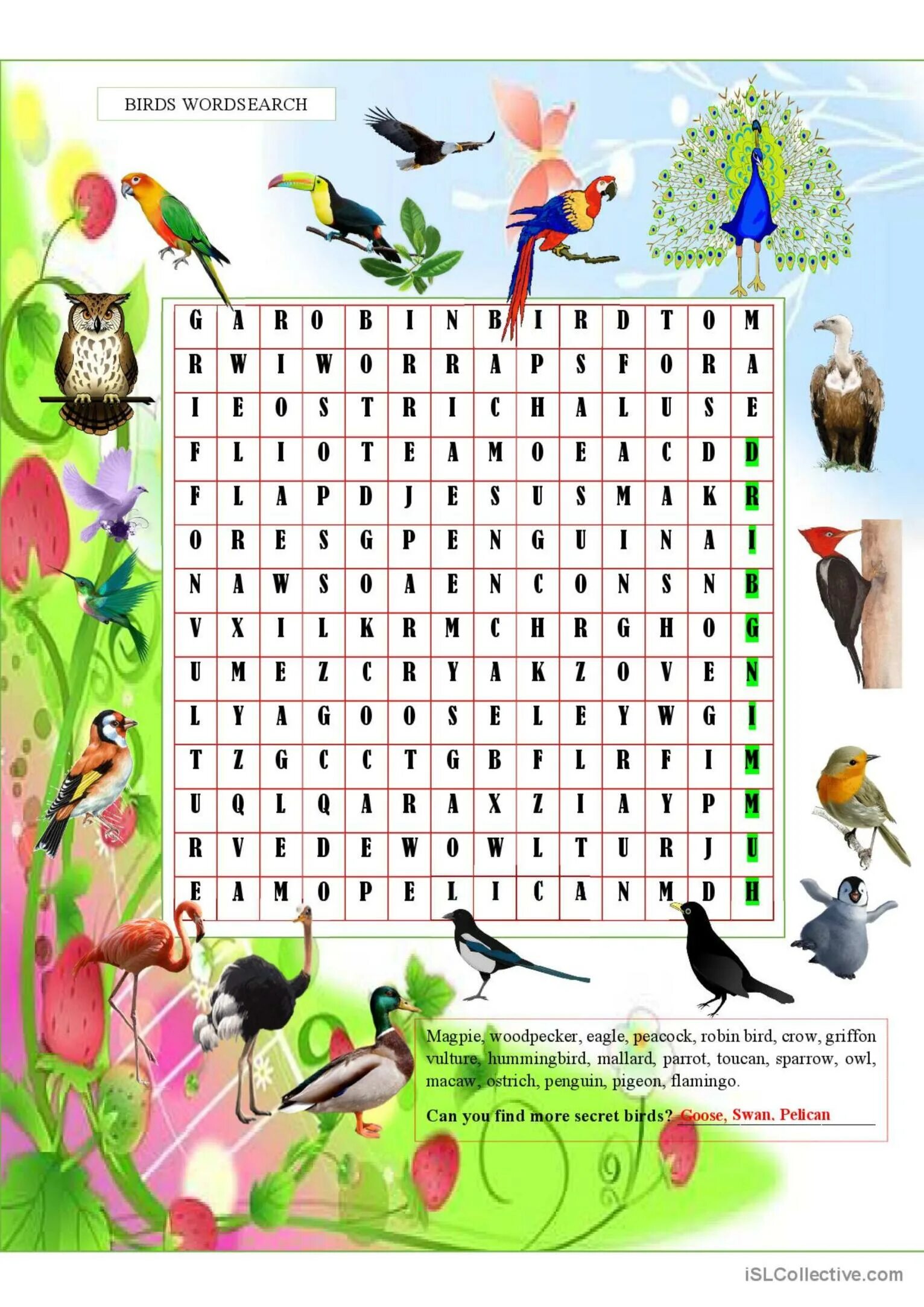 Найди слово птицы 5. Birds Wordsearch. Bird Word. Wild animals Wordsearch. Puzzles about Birds.