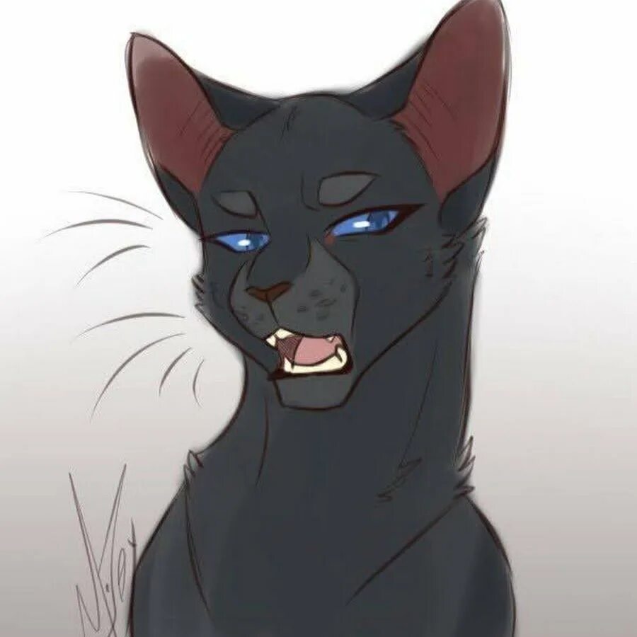 Грач и ласточка. Грачик коты воители. коты воители кот грач. коты воителвоители грач. коты воители сумеречница.