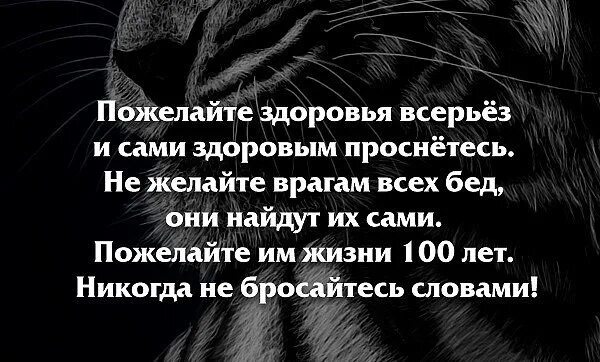 Запах врагу не пожелаешь 5 букв. Пожелание врагу. Пожелание недоброжелателям. Пожелание врагам статус. Пожелания врагам и недругам.