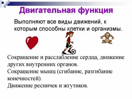 Транспортную функцию в организме выполняют молекулы