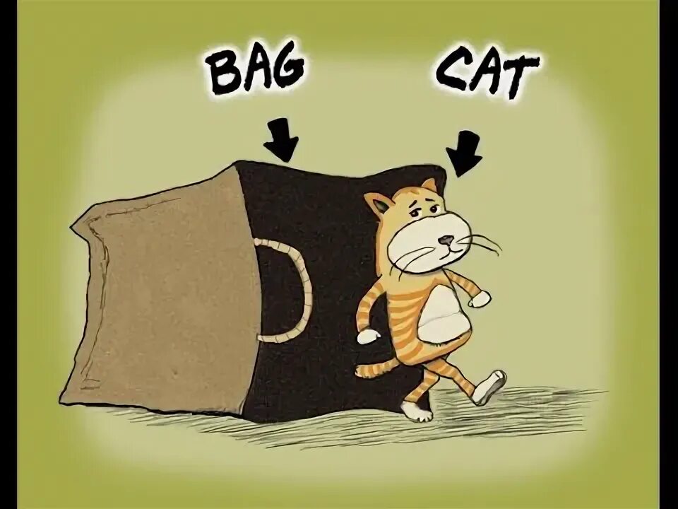 Cat's out of the bag идиома. Cats bag перевод. Let the cat out of the bag. Cats bag перевод. Let the cat out of the bag перевод идиомы.