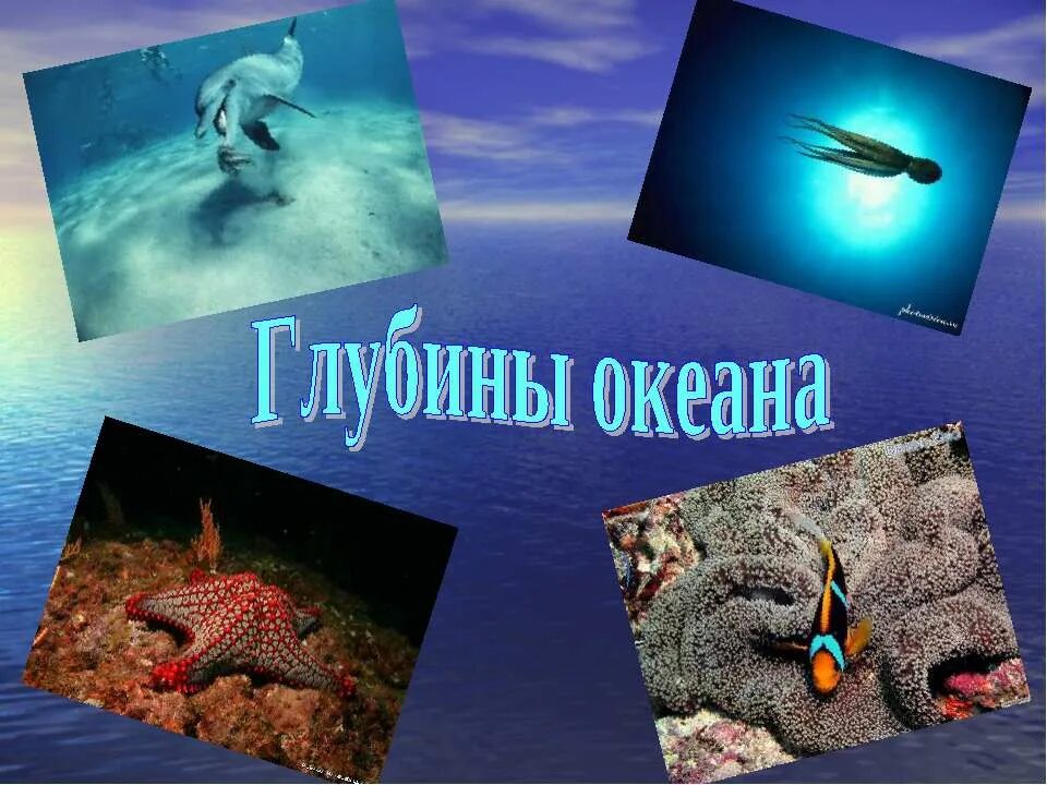 Обитатели океана презентация. Морские глубины и их обитатели. Исследование глубин океана. Глубины океана и их обитатели. Жизнь в океане.