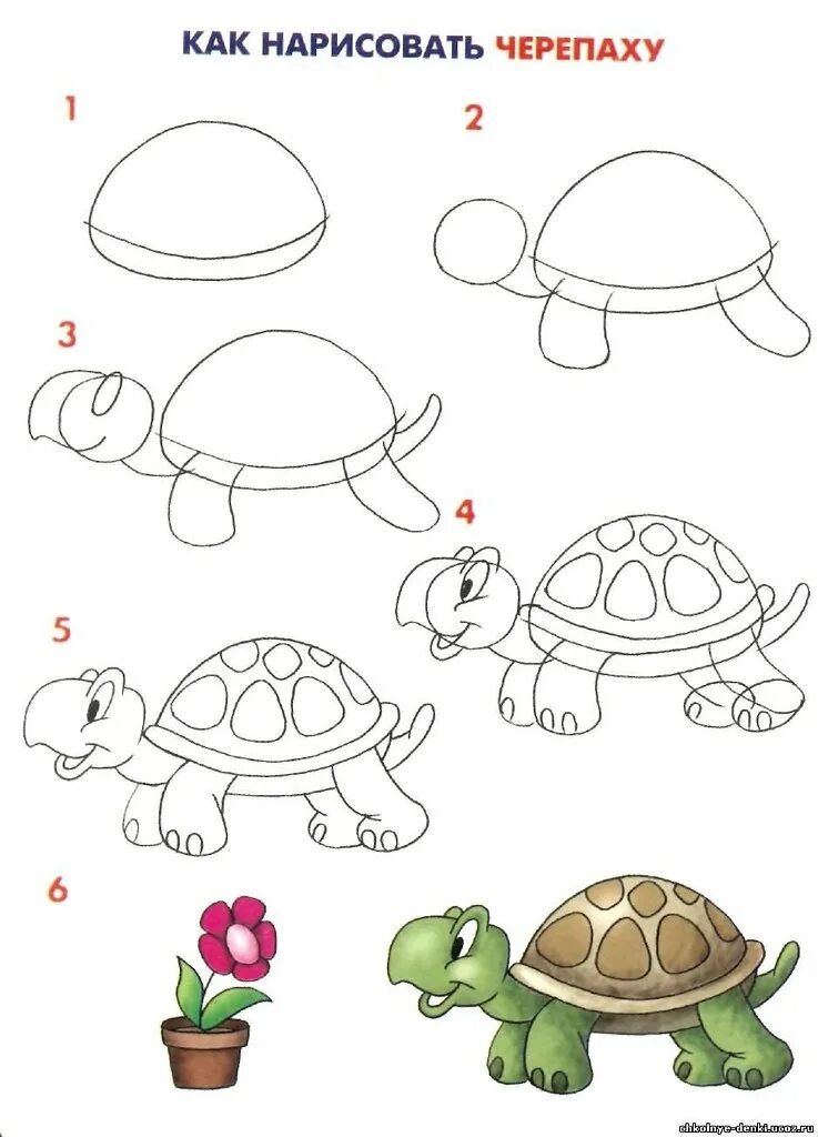 Учимся рисовать уроки. Схемы рисования для малышей. Поэтапное рисование животных. Схема рисования животных для детей. Поэтапное рисование черепахи.