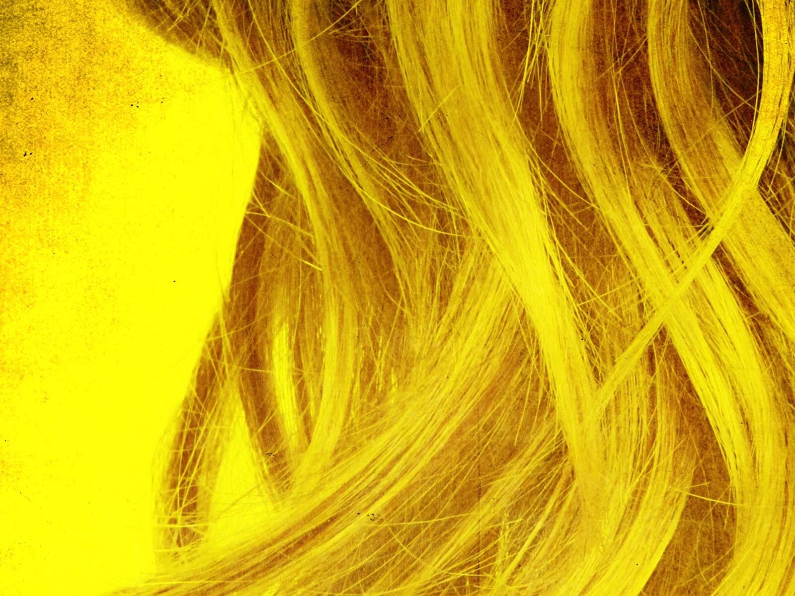 Желтый волос 2. Желтые волосы. Желтый оттенок волос. Желтые волосы Эстетика. Волосы на желтом фоне.