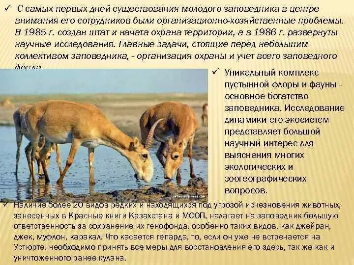 Самый молодой заповедник россии. Красная книга хабаровского края. Заповедники пасквик мурманской области-. Самый молодой заповедник. Маркакольский заповедник казахстана.