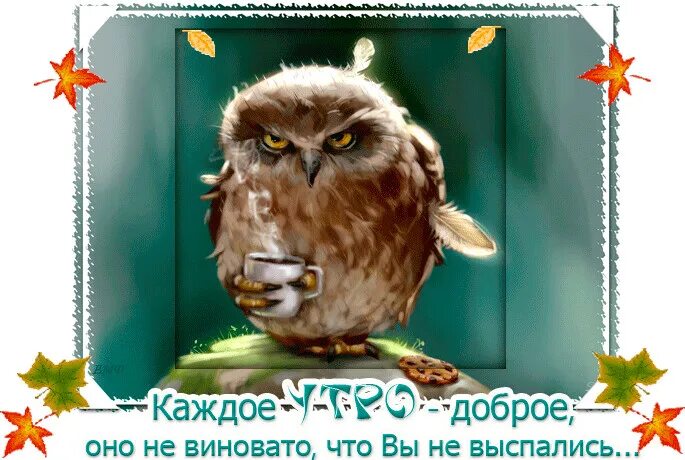 Гифки с добрым утром прикольные. Гифки доброе утро юмором. С добрым утром анимация. Анимация юмор. Смешные картинки с добрым утром.