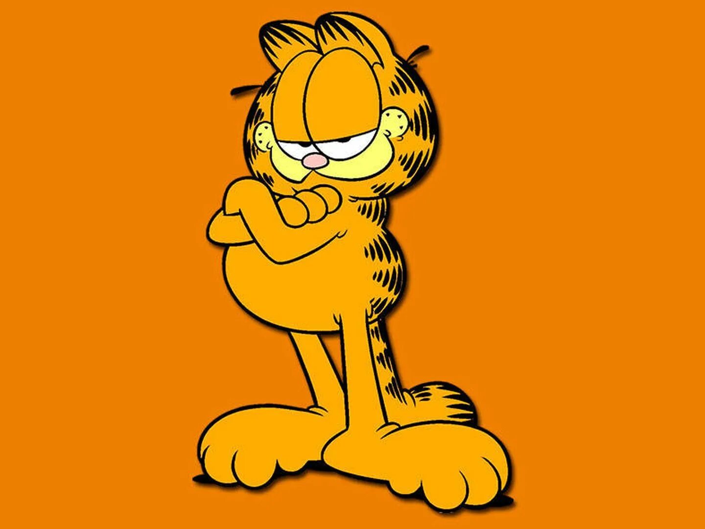 Кот гарфилд 1. Гарфилд - garfield (2004). Гарфилд 2004. Гарфилд качестве 1080. Гарфилд 2004.