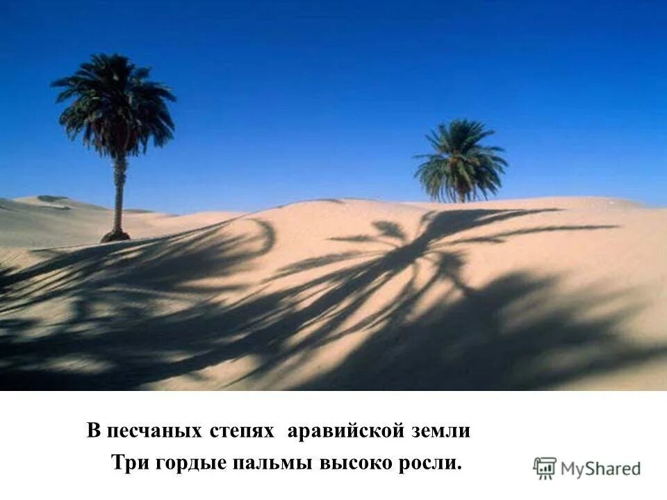 михаил юрьевич лермонтов три пальмы. родник из почвы бесплодной. в песчаных степях аравийской земли три гордые пальмы высоко росли. в песчаных степях аравийской земли три гордые пальмы высоко росли. стих лермонтова в песчаных степях аравийской земли.