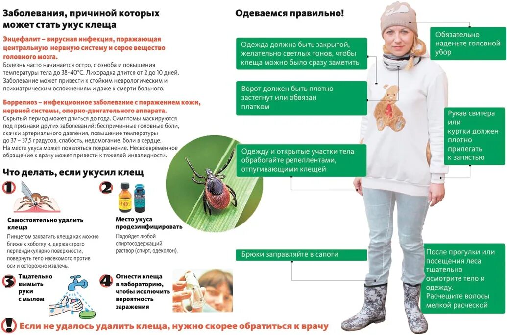 Профилактика инфекции клещевого энцефалита. Меры профилактики Энцефалитный клещ. Профилактика клещевого вирусного энцефалита.