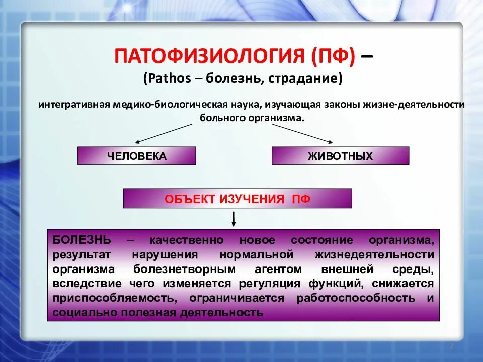 Патофизиология. Болезнь это патофизиология. Социальные критерии болезни патофизиология. Физиологическая асимметрия патофизиология.