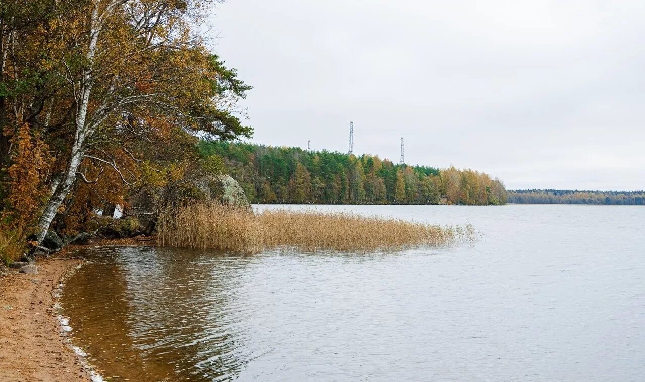 погода зеркальное ленинградская