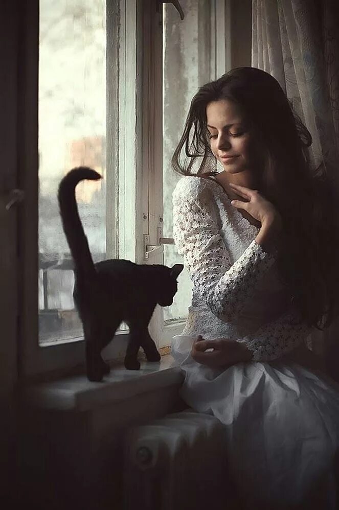 Фотосессия с котом. Кошка одинокая женщина. Кошка одинокая женщина. Женщина с кошкой у окна. Кошка одинокая женщина.