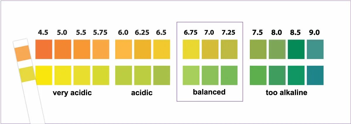 1 шкала тест. Тест шкала PH. Полоски для определения PH воды. Шкала для определения PH мочи. Шкала теста PH полоски.
