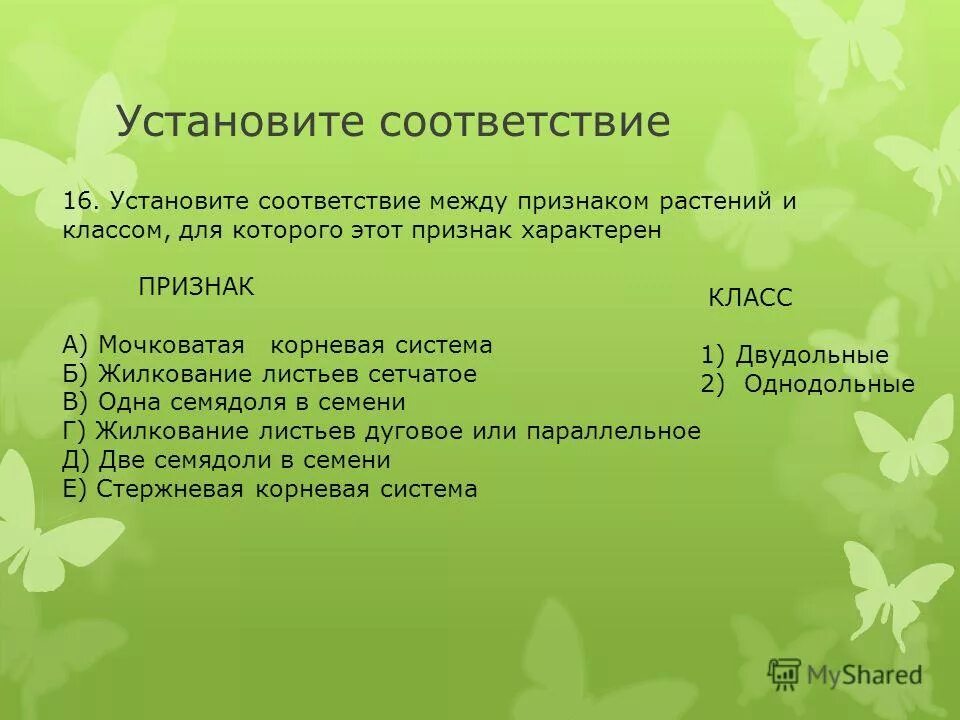 установите соответствие между семействами признаками растений