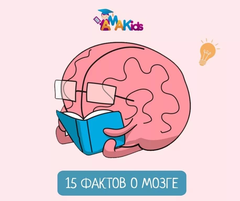 Интересные факты о мозге. Занимательный факты о мозге. Интересные факты о мозге для детей. 15 Фактов о мозге. O brain