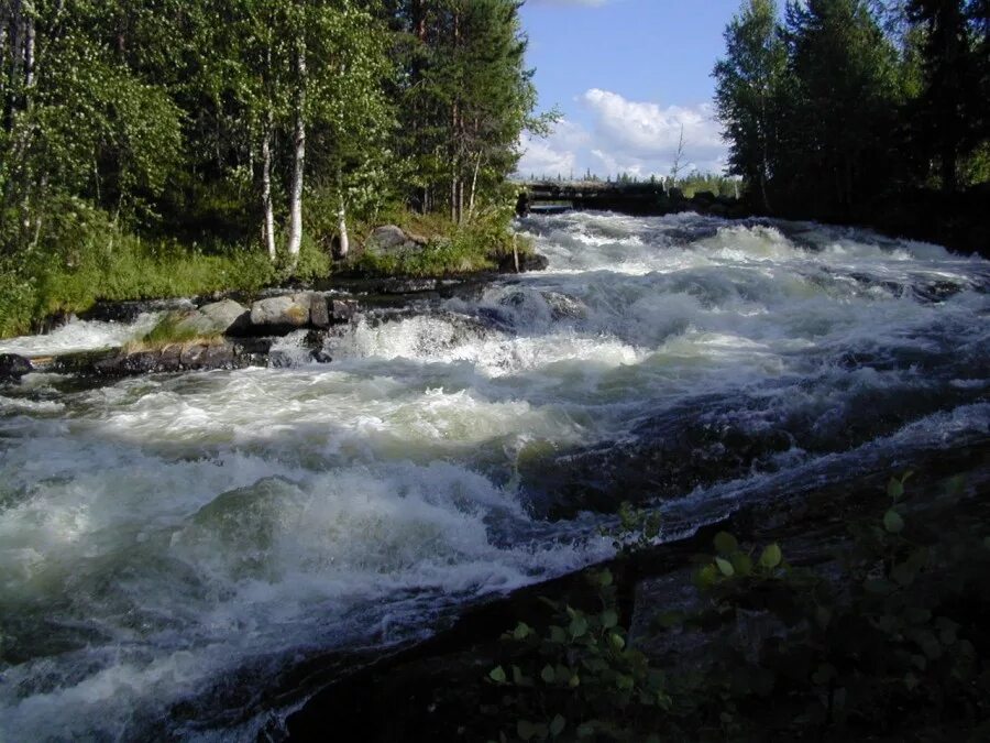 река охта карелия. река южная шуя карелия. воньга (река) реки карелии. ууксу карелия сплав 2022.