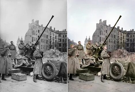 Вов в цвете