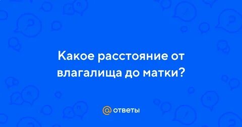 Сколько до матки