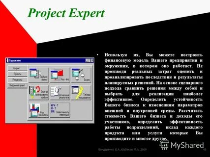 Project expert