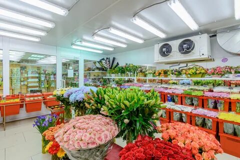 Магазин растений в москве