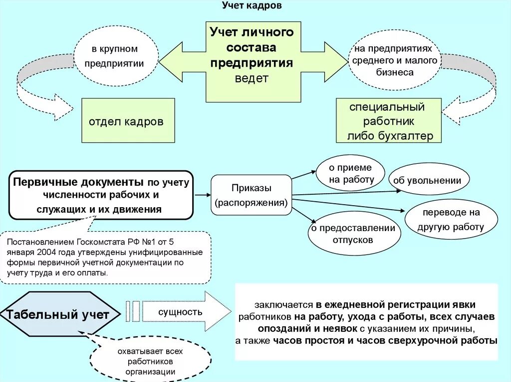 Организация введения учета. Состав персонала кадрового учета. Схема порядок оформления документации по учету кадров. Схема порядок организации кадрового учета с нуля».. Учет личного состава организации.