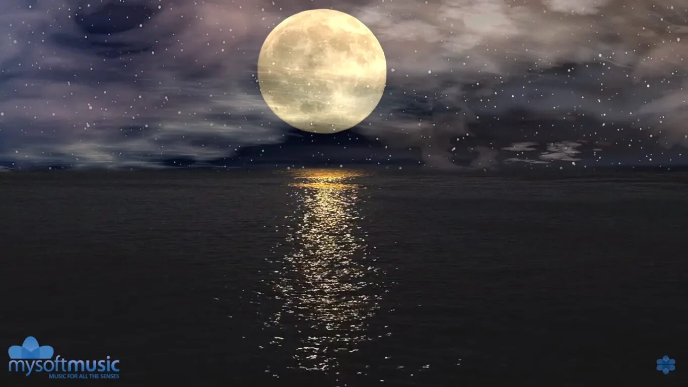 Звезды над морем. Ночь в море. Луна. Луна и море.