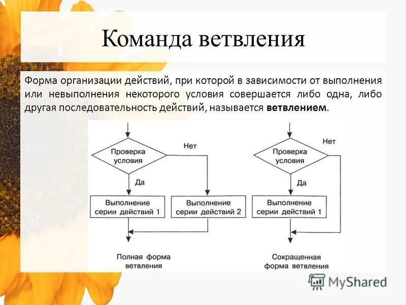 Алгоритм ветвления полная и неполная форма