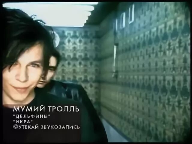 Тролль дельфины. Мумий тролль евровидение 2001. мумий тролль дельфины обложка. мумий тролль дельфины клип. мумий тролль дельфины 1997.