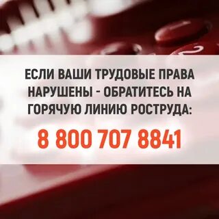 По вопросам обращаться на горячую линию