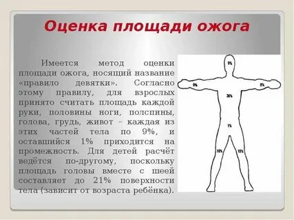 Ожоговая площадь