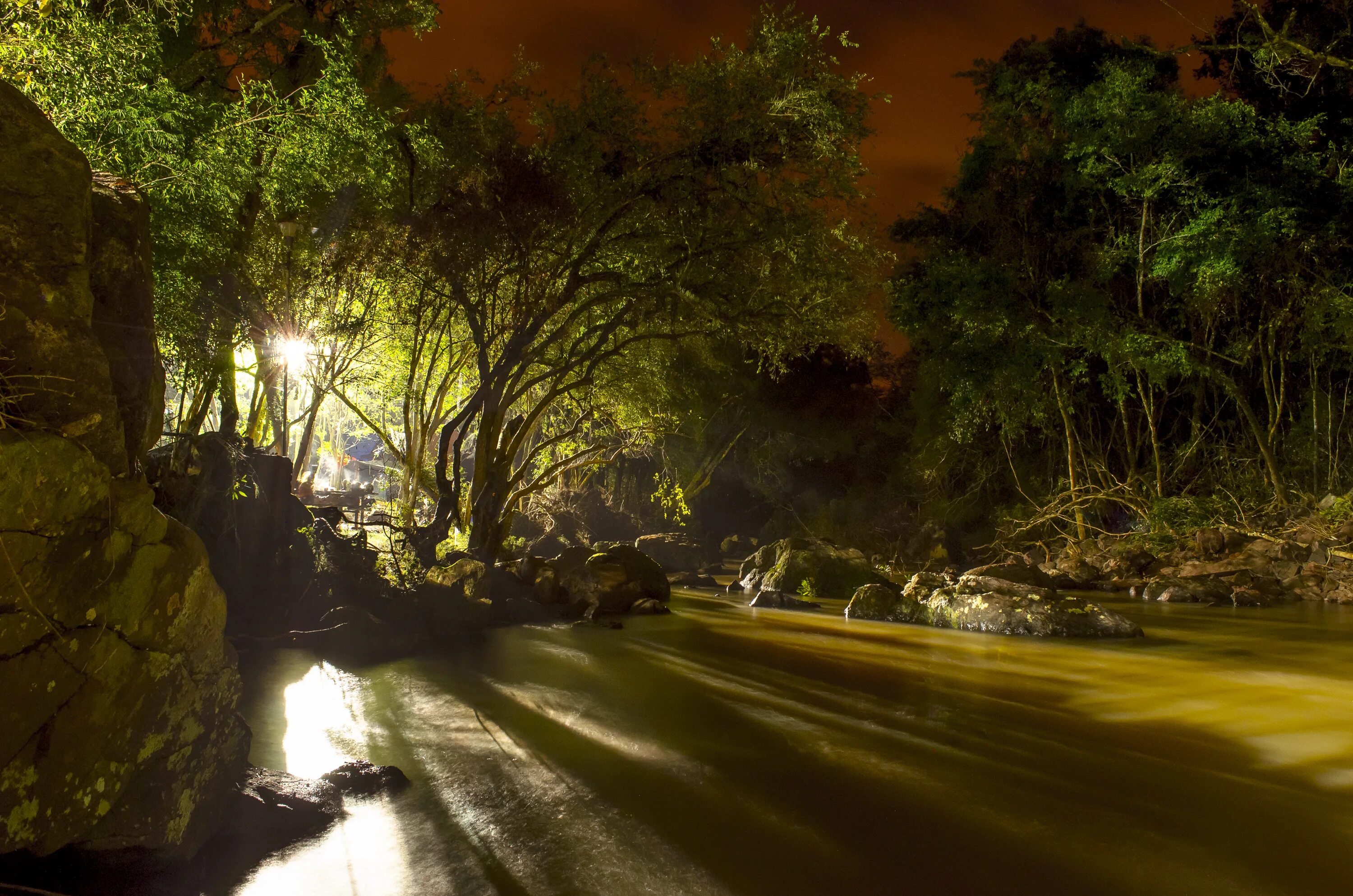 Джунгли вечером в среду. Аргентина тропический лес Мисионес. Ночь в тропиках. Джунгли ночью. Ночной тропический лес.