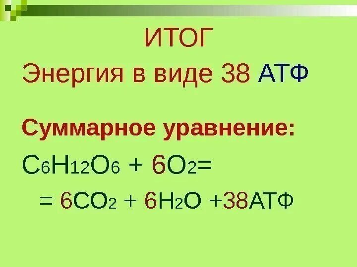 С6н12о6 + 6о2 = 6со2 + 6н2о. Со2 н2о-с6н12о6+о2. С6н12о6+6о2→6со2+6н2о+38атф. С6н12о6 + 6о2 -> 6со2+ 6н2о + ________АТФ.