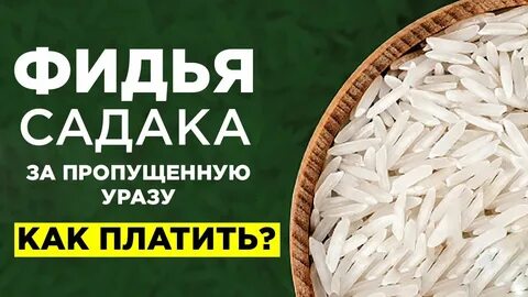 Фитр садака кому можно давать кому нельзя