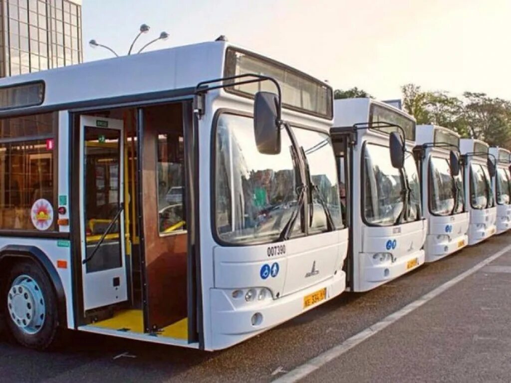 Городской автобусный транспорт. Городской автобус. Современные автобусы. Современный городской автобус. Современные пассажирские автобусы.