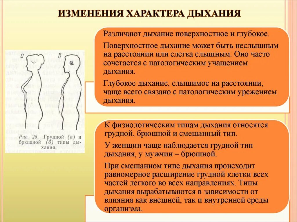 Определить характер дыхания. Мужской и женский тип дыхания. грудной тип дыхания. грудной и брюшной тип дыхания. типы дыхания у мужчин и женщин.