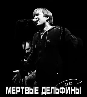 Мертвые дельфины текст
