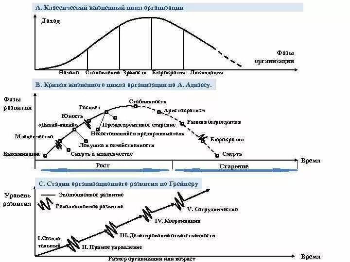 Этапы жизненного цикла предприятия. Стадия жизненного цикла развития предприятия. Жизненный цикл организации Емельянова и Поварницыной. Кривая жизненного цикла организации по Адизесу.