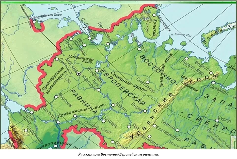 Восточно европейская равнина в каком направлении происходит. Низменности Восточно европейской равнины на карте. Восточно-европейская низменность на карте России. Восточно-европейская равнина на карте России.