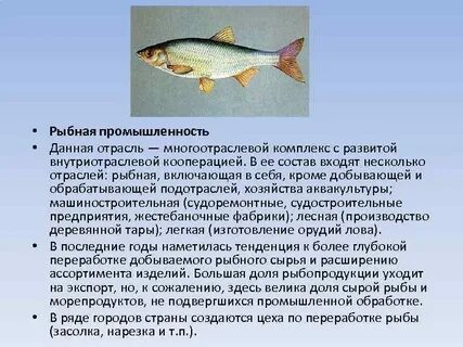 Рыбный фактор