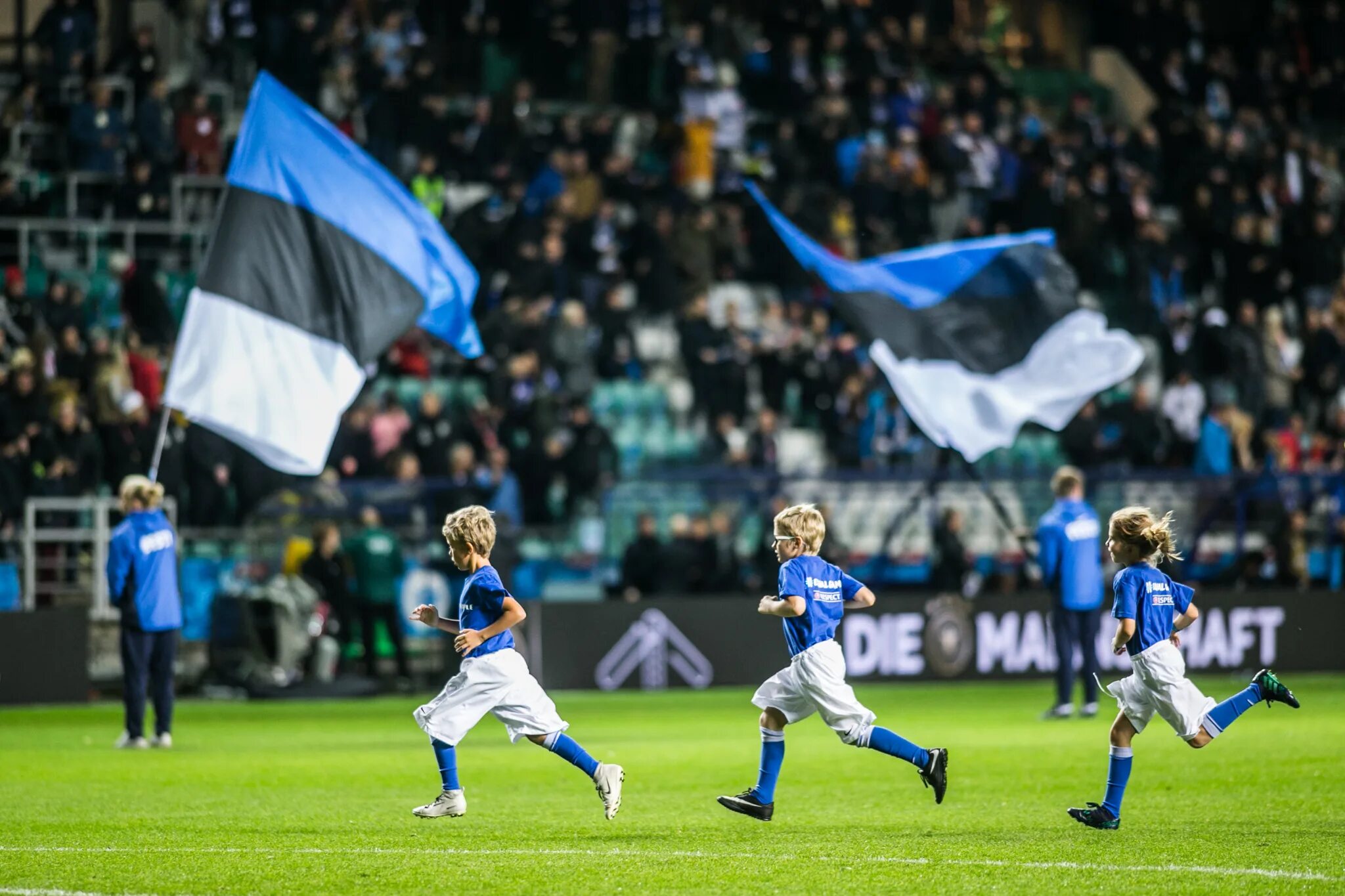 Футбол польша эстония прогноз
