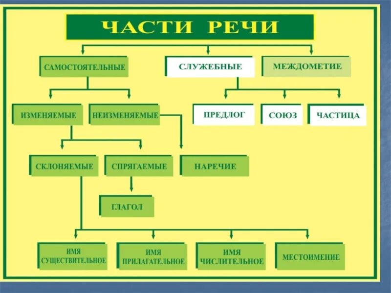 Самостоятельные части речи таблица 5 класс. Части речи в русском языке. Части речи 5 класс. Части речи 5 класс русский язык. Определи часть речи 5 класс