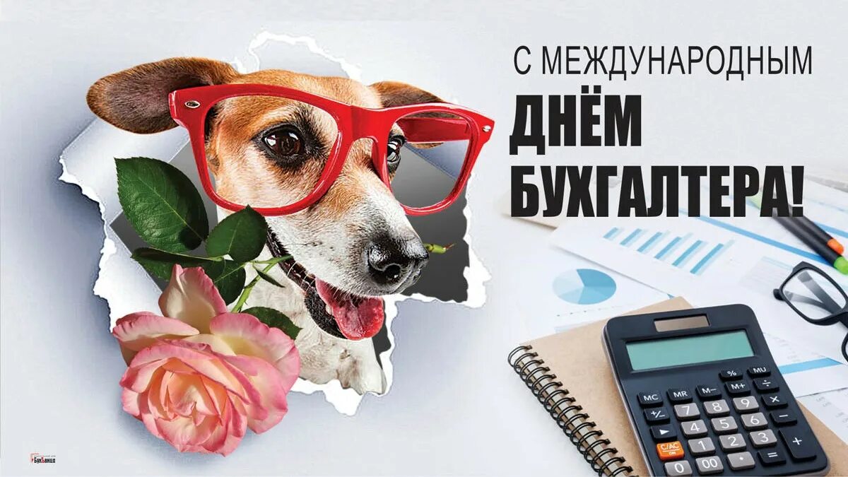 С международным днем бухгалтера открытки 10 ноября. С международным днем бухгалтера открытки 10 ноября