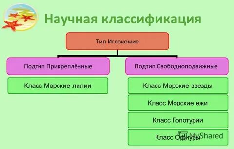 Классы 7 типа