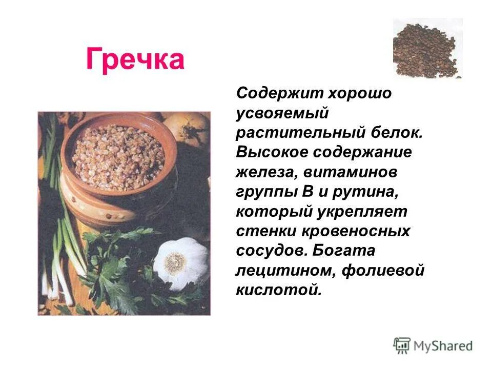 Гречка растительного происхождения?. Гречка что содержит. Что содержится в гречке. Гречка белок. Гречка это белок