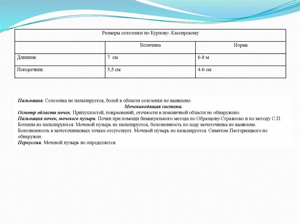 Печень по курлову у детей. Размеры селезенки по курлову. Перкуссия селезенки по курлову. Границы селезенки по курлову в норме. Размеры селезенки при перкуссии в норме.