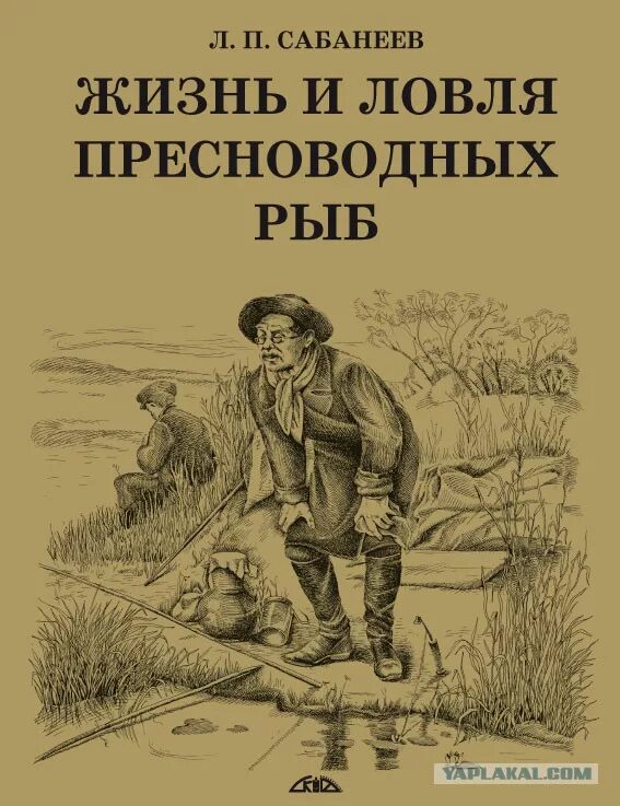 Жизнь пресноводных рыб сабанеев