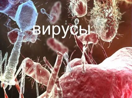 Самые заразные инфекции