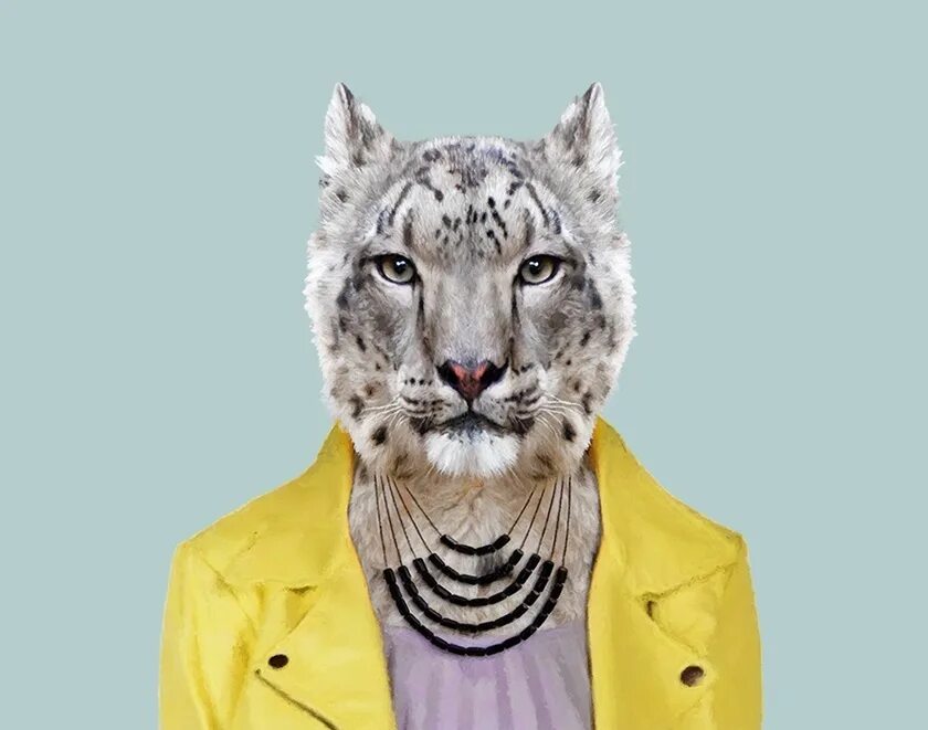 Животные в одежде. Одежда для собак. Как животные одеваются. Смешная одежда для собак. Одежда на сафари в танзании.