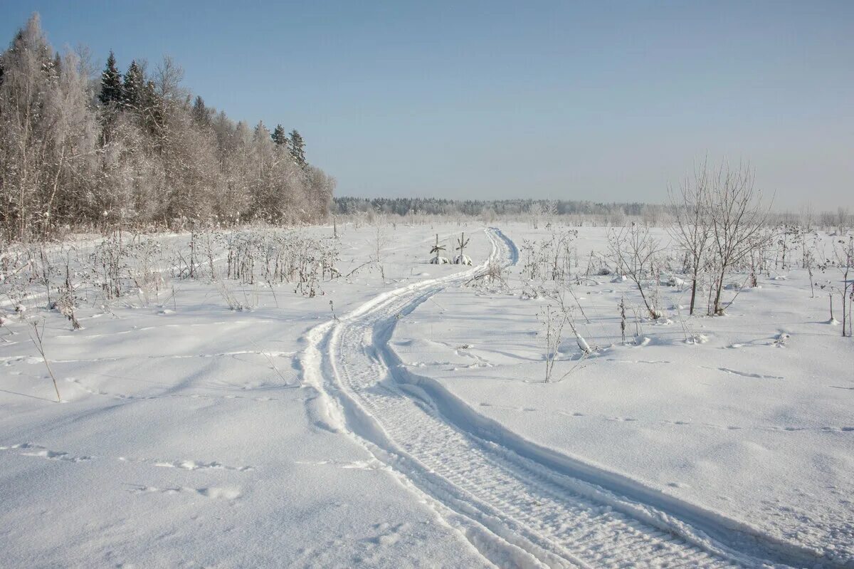 Колея в снегу. След от саней на снегу. След от саней. Следы от санок на снегу.