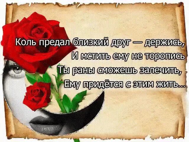 Счастье в одиночестве цитаты. Статус об одиночестве женщины. Ненавижу предательство и ложь. Желаю не предавать. Всех кто предал прощаю всем кто ушел желаю счастливого пути а тех кто.